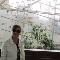 Arlene Merwe