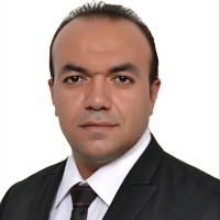 Mohamed Elmasry