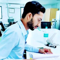 Md Maruf