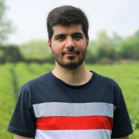 Seyyed Mohammad Borghei