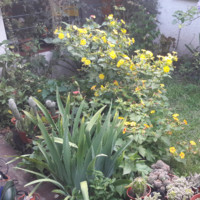 Guillermo Martin Mantz