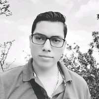 Lenin Armando Flores Castro