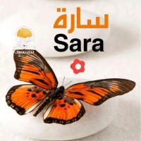 Sara Bouras