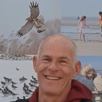 Sjoerd Andela