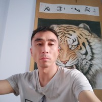 袁志刚