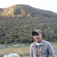 Ahmad Fauzi
