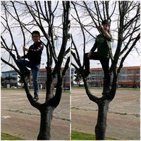 Ensar Ve Talha Asci