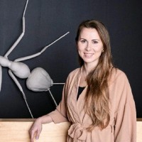 Krisli Kõrgesaar