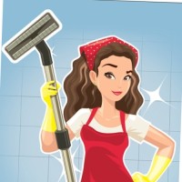 The Shiny Cleaning