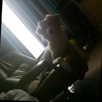 Mirelis Florencia Joseph