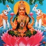 Hari Hari