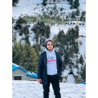 Ali Hamza