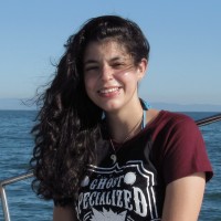 Francielle Micaela Xavier Silveira