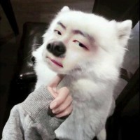尹一博