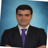 Shervin Hashemian, Masc.