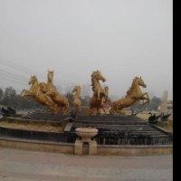 焦云鹤