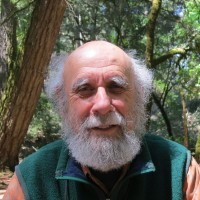 Brian Katcher