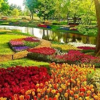 abbas hamad