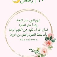 Taher Aly