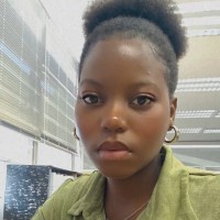 Londi T Mlambo