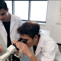 Mohammad Reza Shujai