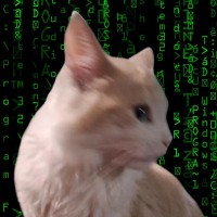 Daniel Andrés Álvarez Zamorano