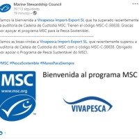 VIVAPESCA IMPORT EXPORT