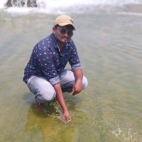 Naveen Motapothula