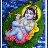 Venki Yadva Nallagorla
