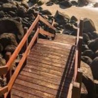 Shirley Kuo