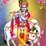 Satish Chinna