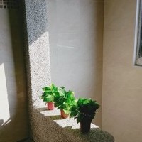 培峰 Richard