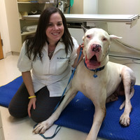 Melissa Bayshore Vet