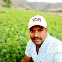 satish pardhi