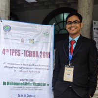 Md. Ariful Islam Arif