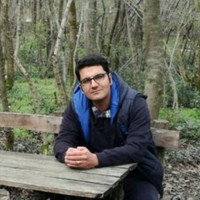 Mojtaba Mirzaei