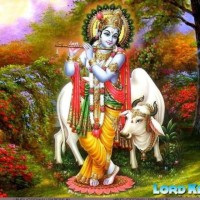 Pawan Sharma