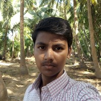 Vignesh T