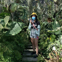 Chia chi Chi