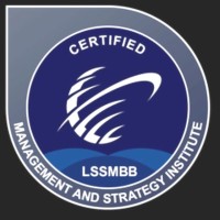 Hany Amin A AFIFI, LSSMBB, CISCM