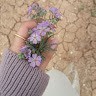 Ebtesam Ezzat