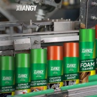 Felicia Car Care Spray/Spray Paint