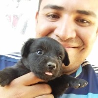 José Rios