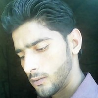 Malik Amir