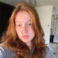Romy van den Brink