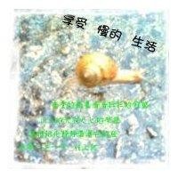 王晓恒