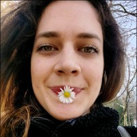 Dina Šabanović