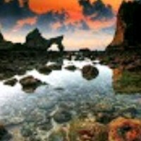 منوعات مقاطع فيديو