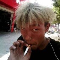 张进颉