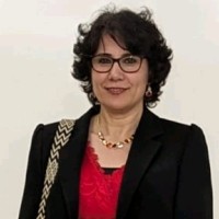 Violeta Meta